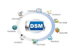 DSM能源管理服務 智能優化，驅動可持續發展的未來